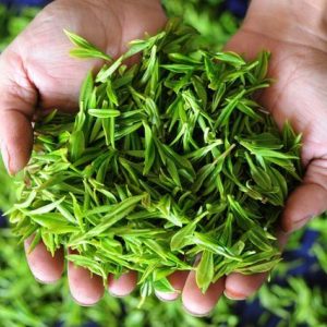 云雾绿茶